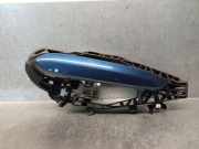 Türgriff Außen Ra 9881774 BMW X3 (G01) SUV xDrive 20d 2.0 TwinPower 16V Mild Hybrid (B47-D20B)