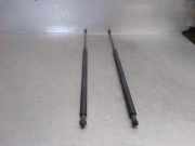 Gasdruckfedern Set Hinten 51243400379 BMW (E83) 2.0 d