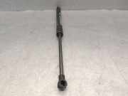 Gasdruckfeder Set Vorne 52216615 Fiat 500L (199) Großraumlimousine 1.3 D 16V Multijet (55283775)