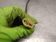 Zentralverriegelung Motor Links Hinten KK14273350 Kia Pride Wagon Kombi 1.3i 16V (B3)