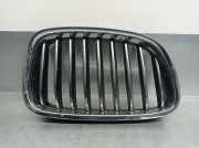 Grill 7336486 BMW 5 serie Gran Turismo (F07) Schrägheck 520d 16V (N47-D20C)