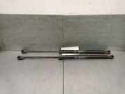 Gasdruckfedern Set Hinten 81770A4000 Kia Carens IV (RP) Großraumlimousine 1.7 CRDi 16V (D4FD)