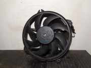 Kühlerventilator 1253A6 Citroën Berlingo Van 1.9 D (DW8B(WJY))