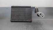 Klima Verdampfer 64116975553 BMW 3 serie (F30) Limousine 320d 2.0 16V (B47-D20A)