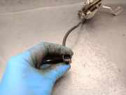 Motorhaubenschloss B000832580 Citroën C1 Schrägheck 1.0 12V VVT-i (1KR-FE(CFB))