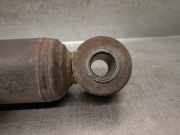 Stoßdämpfer Links Hinten 1317684080 Fiat Ducato (230/231/232) Van 2.8 id TD (8140.43.2585)