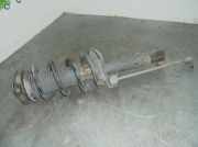 Wasserpumpe 1197 Ford BERL./TURN./CAB./EXPRESS *