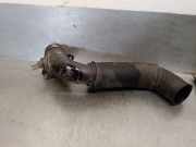 Katalysator W07401 Hyundai i30 (PDEB5/PDEBB/PDEBD/PDEBE) Schrägheck 1.0 T-GDI 12V (G3LE)