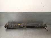 Stoßdämpfer Links Hinten 562101930R Renault IV Schrägheck (B9A/M/N_) 1.3 TCe 140 (B9NB)