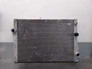 Radiator 17117533472 BMW (E71, E72) xDrive 35 d