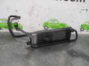 Ölkühler 09129354 Opel ASTRA G BERLINA 1.7 Turbodiesel CAT (X 17 DTL / 2H8)