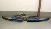 Grill 9628934280 Peugeot 206 SW (2E/K) Kombi 1.4 HDi (DV4TD(8HZ))