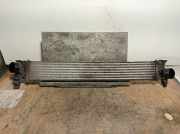 Ladeluftkühler 1613994080 Peugeot Boxer (U9) Van 2.0 BlueHDi 130 (DW10FUD(AHN))