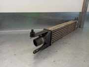 Ladeluftkühler 55700449 Fiat Grande Punto (199) Schrägheck 1.3 JTD Multijet 16V VGT (199.A.3000)