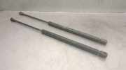 Gasdruckfedern Set Hinten 6896002030 Toyota Corolla (E12) Schrägheck 1.4 D-4D 16V (1NDTV)