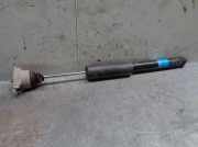 Stoßdämpfer Rechts Hinten 281700315169 Ford (CBK) 1.4 16V CAT