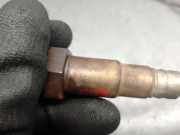 Lambdasonde 3M519G444BB Ford Focus 2 Schrägheck 1.6 16V (HWDA)