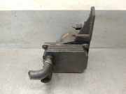 Ölfiltergehäuse YC1Q6B624AK Ford Transit RWD Ch.Cab/Pick-up 2.4 TDdi 16V (D0FA)