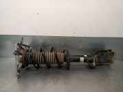 Türgriff Innen Links Vorne 6025303241 Renault /GRAND (JE0) 2.2 Turbodiesel