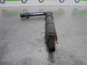 Kraftstoff-Injector 484391 Nissan ALMERA (N16/E) 2.2 16V Turbodiesel CAT