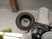 Fensterheber Links Hinten 8571030430 Lexus GS (..S19) Coup? 450h 3.5 V6 24V (2GR-FSE)