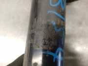 Stoßdämpfer Links Vorne 7700838084 Renault Clio (B/C/S57/357/557/577) Schrägheck 1.2i RL,RN (E7F-750)