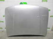 Motorhaube GRIS MG Montego Limousine 2.0 Efi (20H)