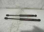 Gasdruckfedern Set Hinten 8E5827552J Audi A4 (B6) Limousine 2.0 20V (ALT)