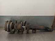 StoÃŸdÃ¤mpfer Links Vorne 31316771178 BMW 3 serie (E90) Limousine 320d 16V (N47-D20A)