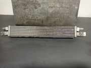 Radiator 17218679837 BMW 3 serie (G20) Limousine 320d 2.0 TwinPower Turbo 16V Mild Hybrid (B47-D20B)