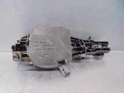 Türgriff Außen Rechts Vorne 51217207562 BMW X3 (F25) SUV xDrive20d 16V (N47-D20C)