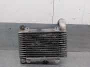 Ladeluftk?hler 1794033010 Toyota Yaris (P1) Schr?gheck 1.4 D-4D (1NDTV)