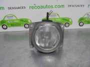 Nebelscheinwerfer Links Vorne Lancia Lybra Limousine 1.9 JTD (AR37.101)