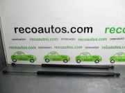 Gasdruckfedern Set Hinten 8200021974 Renault IV (JK0/1_) 2.2 dCi (JK0H)