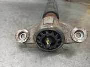 Stoßdämpfer Rechts Hinten 55300G2400 Hyundai *