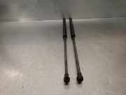 Gasdruckfedern Set Hinten 9819028280 Opel Combo Life/Tour Gro?raumlimousine 1.5 CDTI 130 (D15DTH(DV5RC))