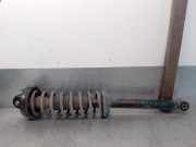 Stoßdämpfer Rechts Hinten 341801 Ford Fiesta 1 Schrägheck 1.1 L,GL,S,Ghia (GLA(CVH))