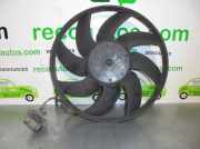 Kühlerventilator 98FB9A819AA Ford Fiesta 5 (JD/JH) Schrägheck 1.4 16V (FXJB)