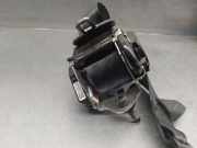 Sicherheitsgurt Rechts Hinten JX7BA611B68AGW Ford Focus 4 Schrägheck 1.0 Ti-VCT EcoBoost 12V 125 (B7DA)