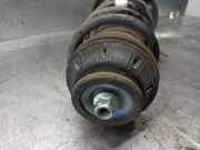 Sto?d?mpfer Rechts Vorne 00520764400 Fiat TIPO II (357) FAM Easy