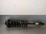 StoÃŸdÃ¤mpfer Links Hinten 96820579 Daewoo / Chevrolet Epica Limousine 2.0 D 16V (Z20S)