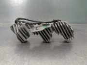 Steuergerät Xenon M300D21 Citroën CITROËN DS3 1.2 12V e-THP