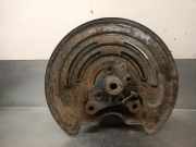 Achsschenkel Halter Rechts Hinten 430421801R Renault II Autob?s (JL) 2.0 dCi 115