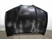 Motorhaube 6L0823031D Seat Ibiza III (6L1) Schrägheck 1.4 TDI 80 (BNV)