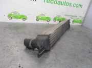 Ladeluftkühler 51790623 Peugeot Bipper (AA) Van 1.3 HDI (199.A.9000)