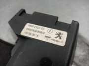 Hutablage 96872620ZE Peugeot 508 SW (8E/8U) Kombi 2.0 BlueHDi 150 16V (DW10FD(AHX))