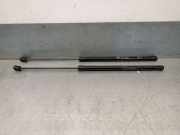 Gasdruckfedern Set Hinten 81831CO000 Hyundai i20 (BC3) Schrägheck 5-drs 1.2 16V (G4LF)