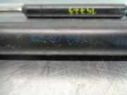 Gasdruckfedern Set Hinten 8D5827552C Volkswagen Passat (3B2) Limousine 1.8 20V (ADR)