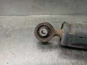 Stoßdämpfer Rechts Hinten 51929884 Peugeot Bipper (AA) Van 1.3 HDI (199.A.9000)