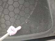 Türverkleidung Rechts Vorne 67777X1M01 Toyota 3.0 Turbodiesel